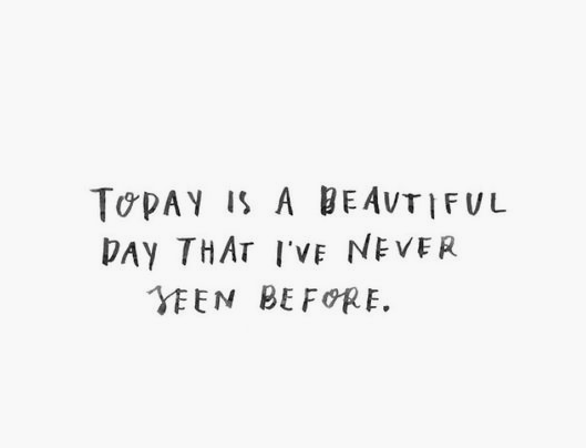 Screen Shot 2017-08-14 at 7.07.51 PM