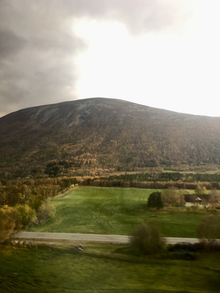 33C1E917-7FF0-4F9B-A1F5-B19CA64CB718