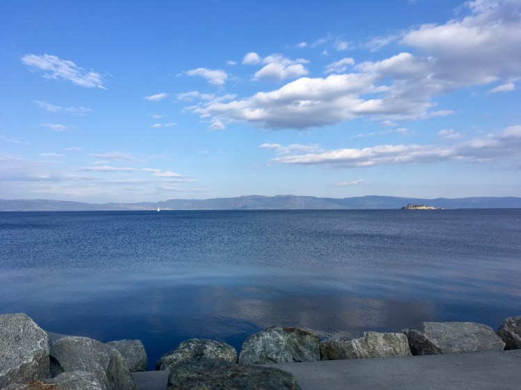 CF813840-5A46-428A-91CA-8432CE6FFBFD