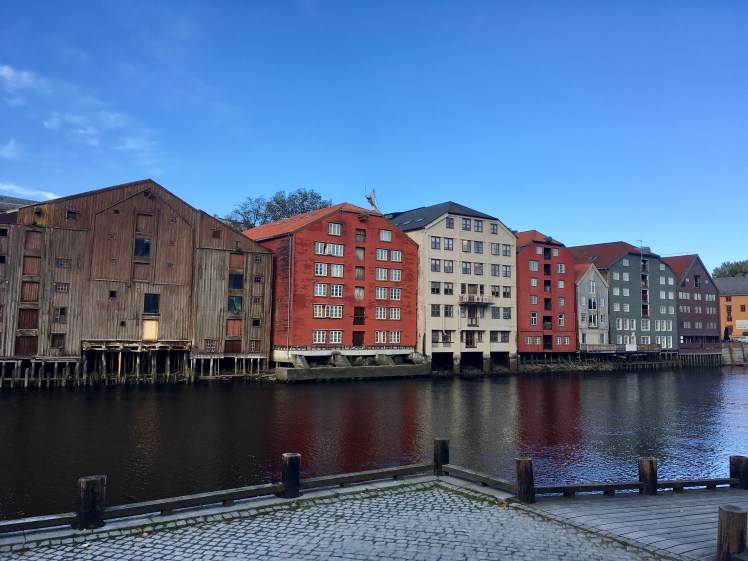 D5B96DCB-6F58-4639-9322-15FE8C3FA479