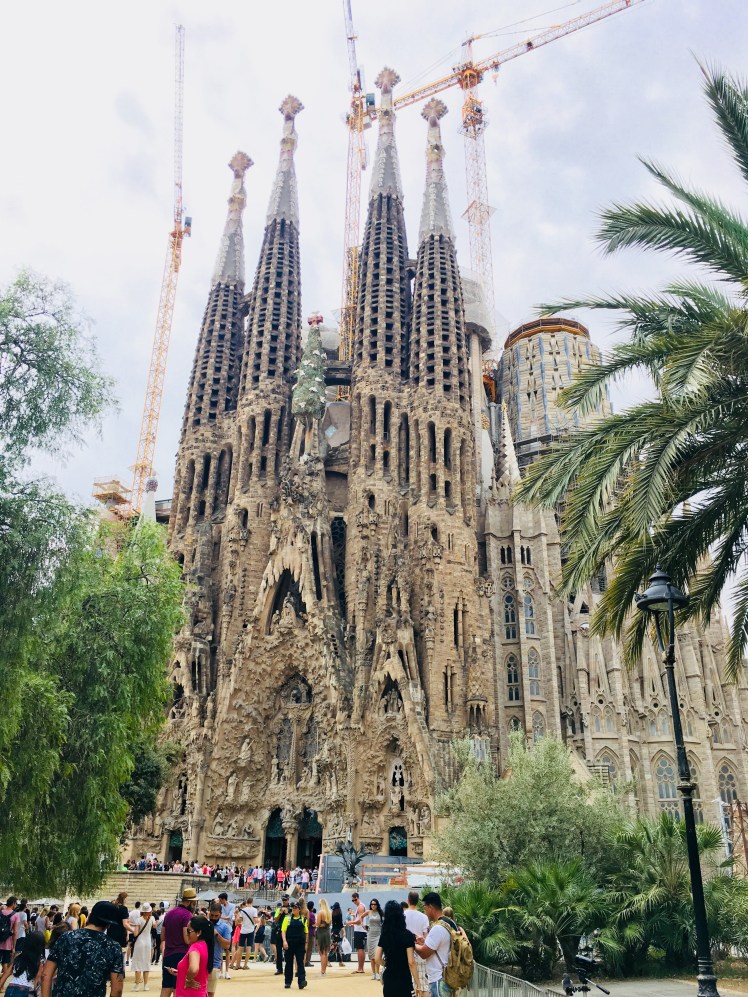 761A62A2-62DC-41CC-9A05-ECE8F425A12C