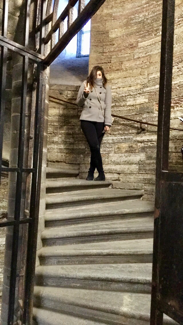 892F3E83-B7FB-4753-91E9-418F50E1D605