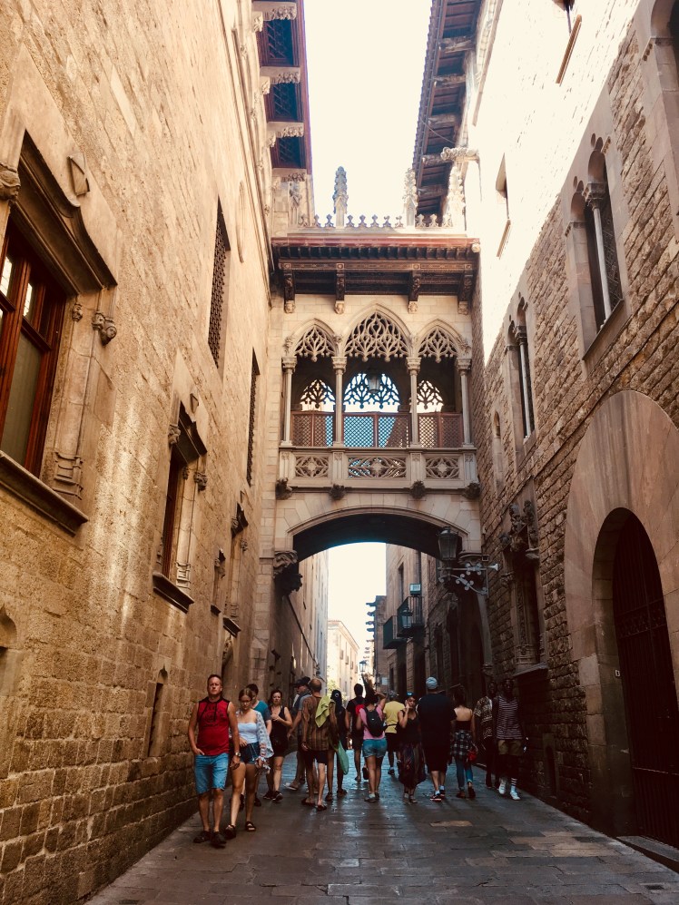 8BFAB84E-AF3C-4C36-B753-435FFDDE26AB