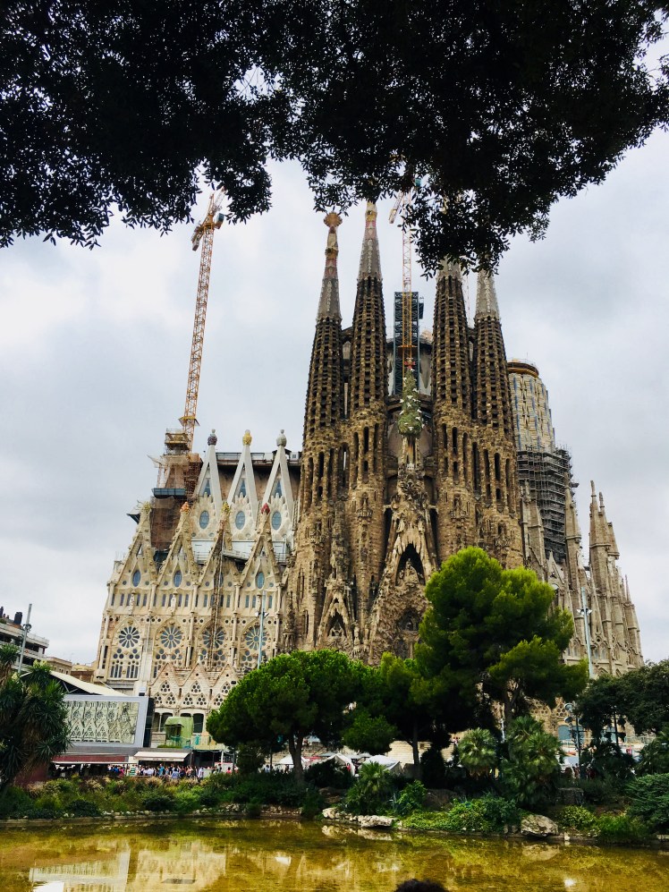 D7207262-4E55-4539-8596-73B41191CB6A