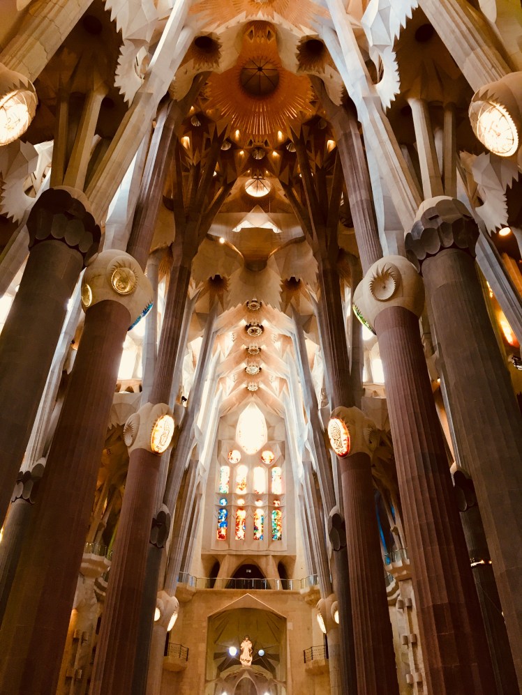 EB52F8C8-995E-4788-BDE1-A71EE9FD0CD6