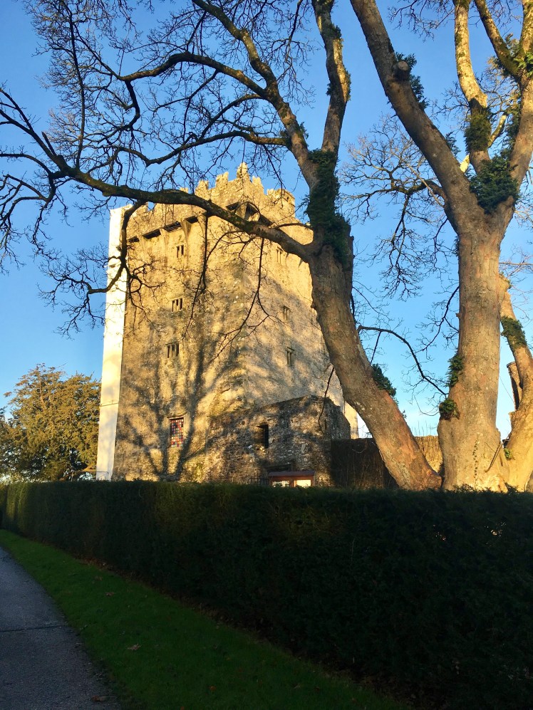 1857AE51-2176-4258-9643-F7E6094A5997