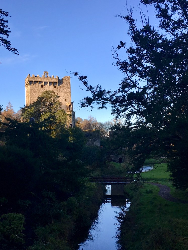 4BE18674-3F1C-4CEF-BA6E-BC227F44E503