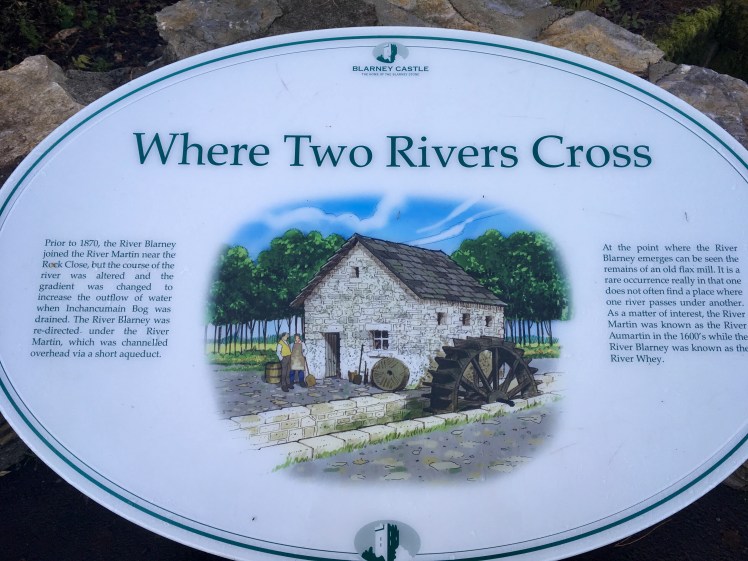 6BF2A594-FA3E-49CC-B632-0287075ED9CF