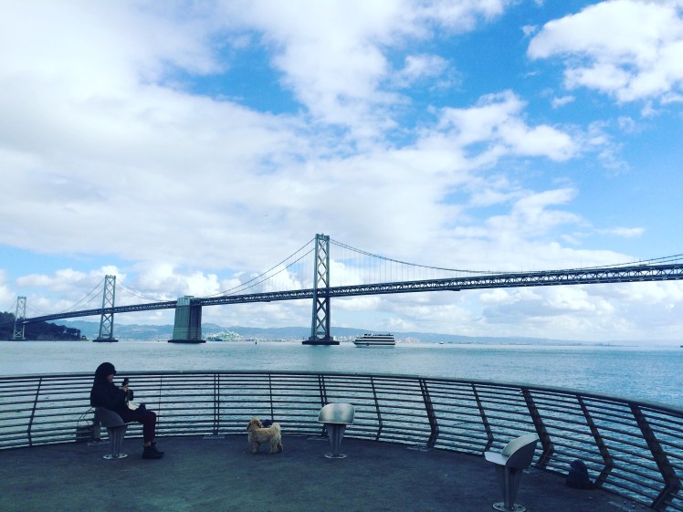 8A66AF3D-E3DF-4925-A9F8-AE84E45FCA6E