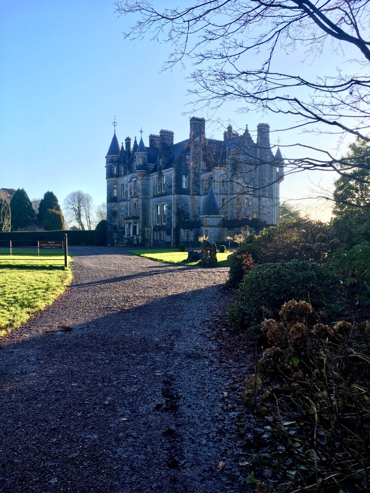 9B263800-92EA-45AE-AFBF-4901C70435EE