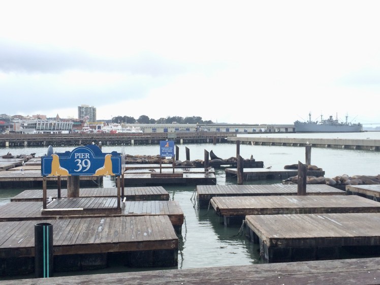 A56AAD78-D019-42F3-B2E7-86F147AE72D8