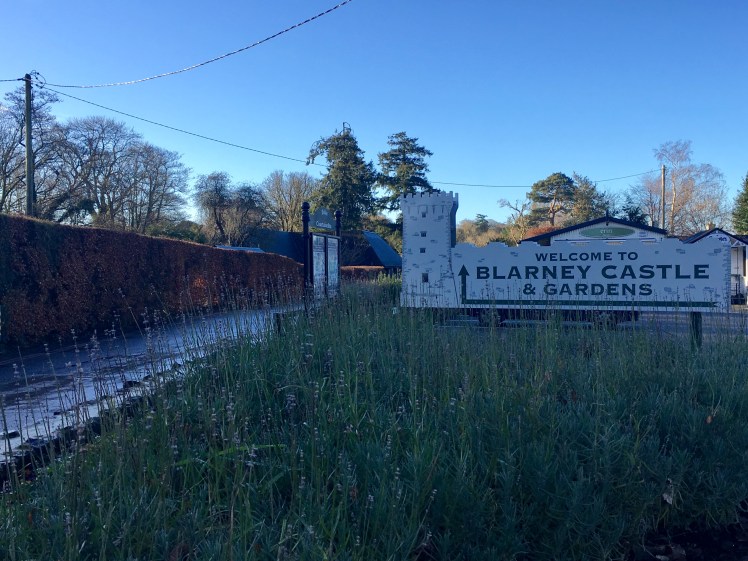 F054AABC-BB11-4A78-8DDF-E29C40B279CE