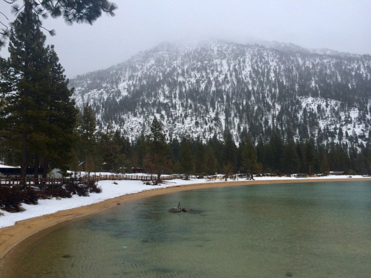 29994018_10156309166712710_1735792378_o