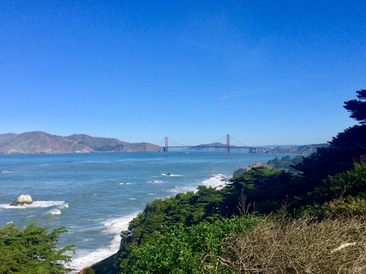 01277552-8087-45E8-8C9F-71ED98D5E8B8