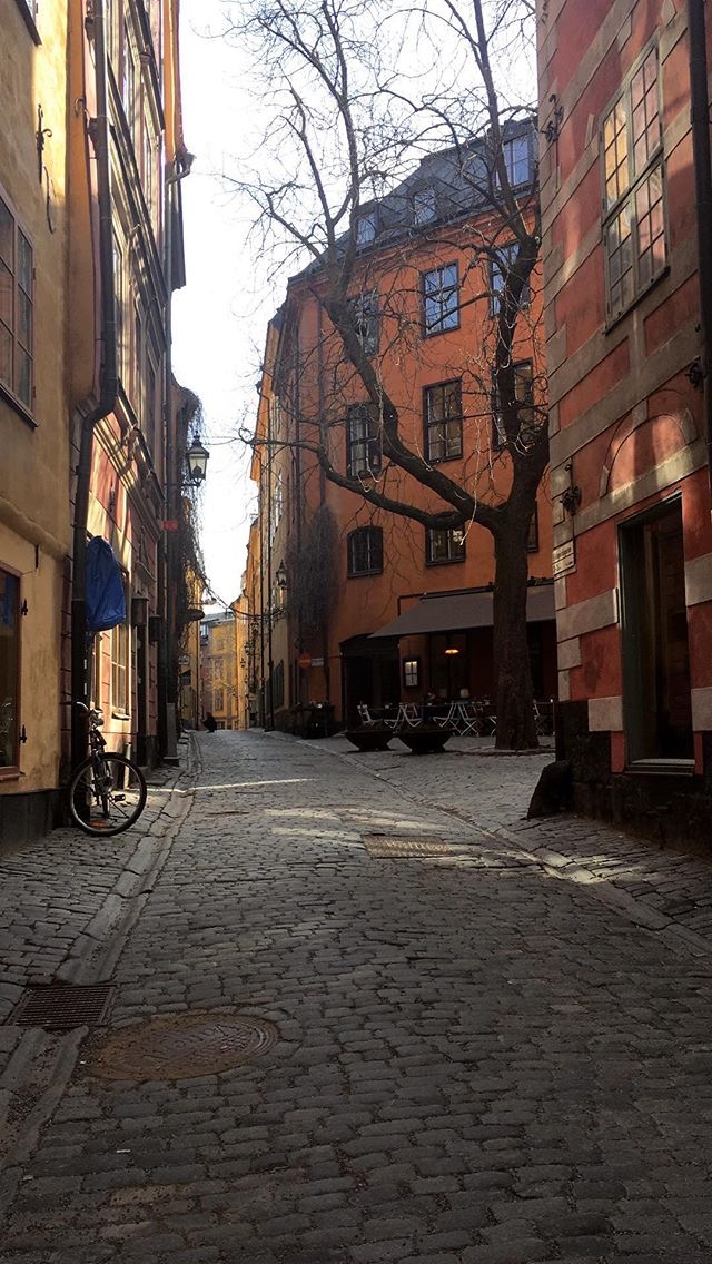 32372805_10156412220647710_1294723212843679744_n